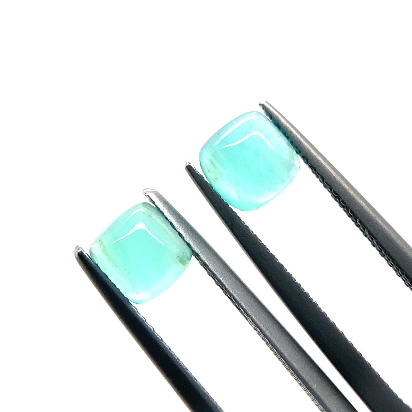 ANOPAL1008__2023-07-03-05-49-47.jpg