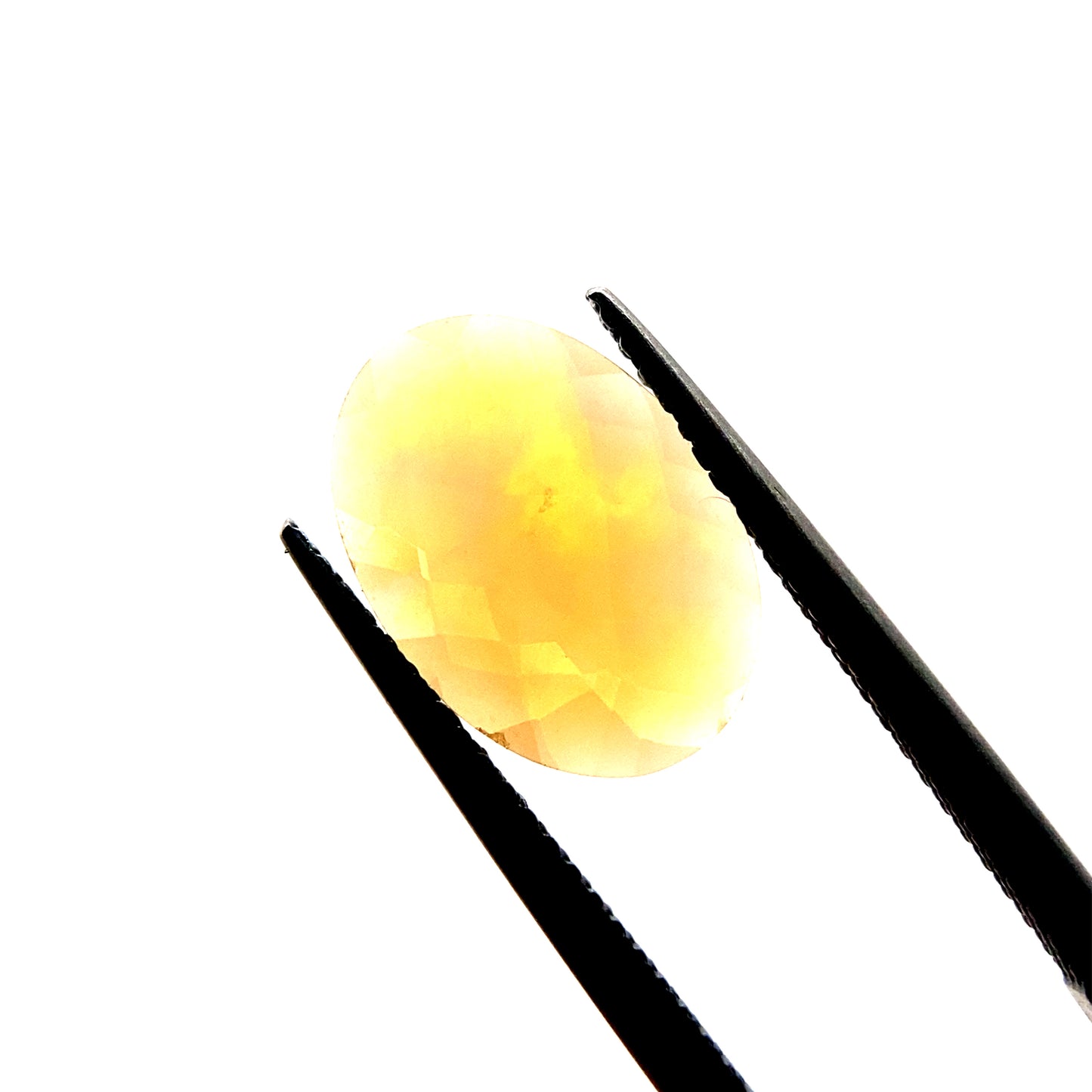 OPAL016__2023-07-04-02-15-34.jpg