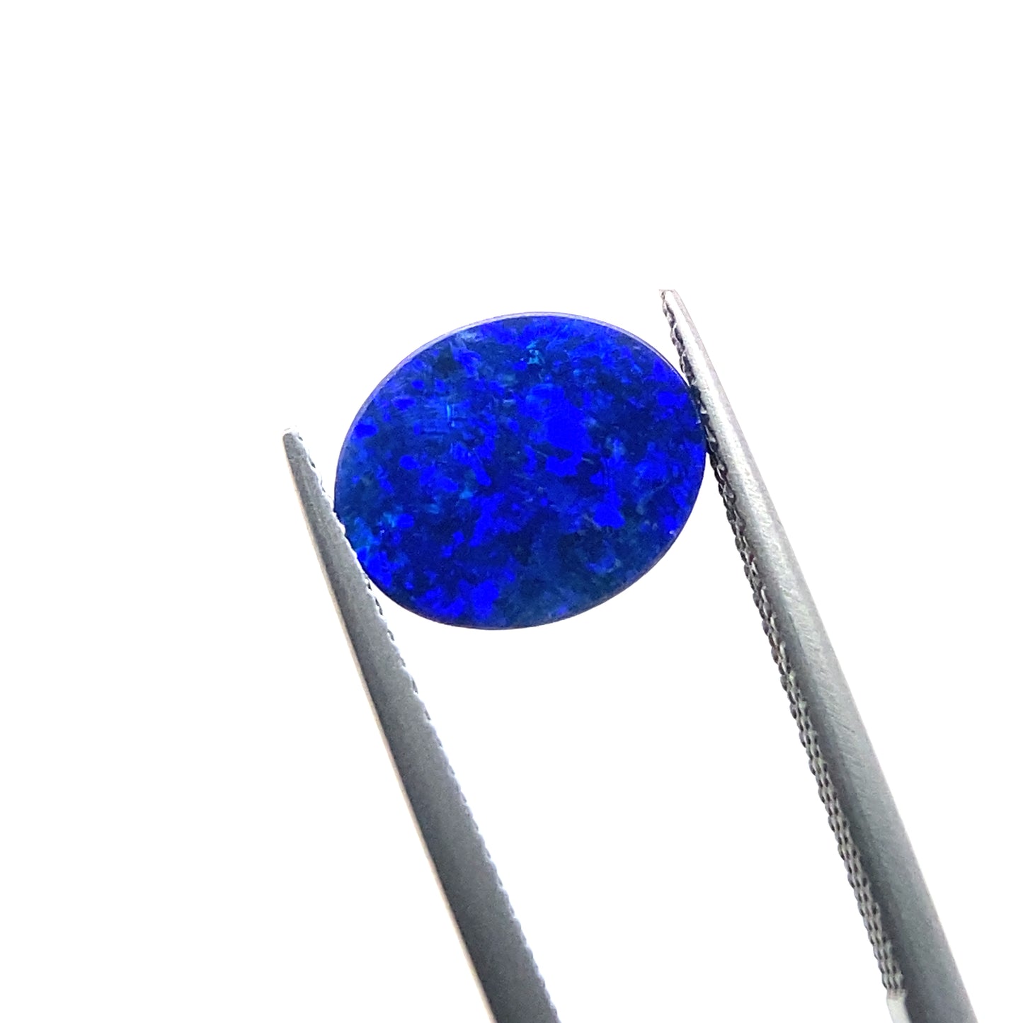 OPAL60__2023-11-21-15-26-44.jpg