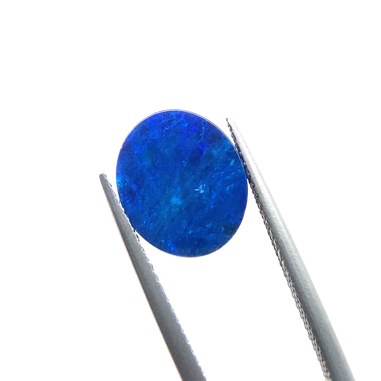 OPAL64__2023-11-21-15-24-41.jpg
