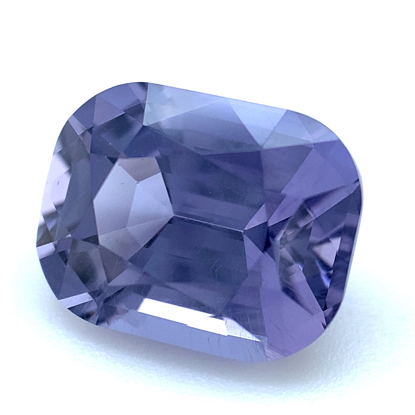 SPINEL000002__2021-05-31-16-04-49.jpg
