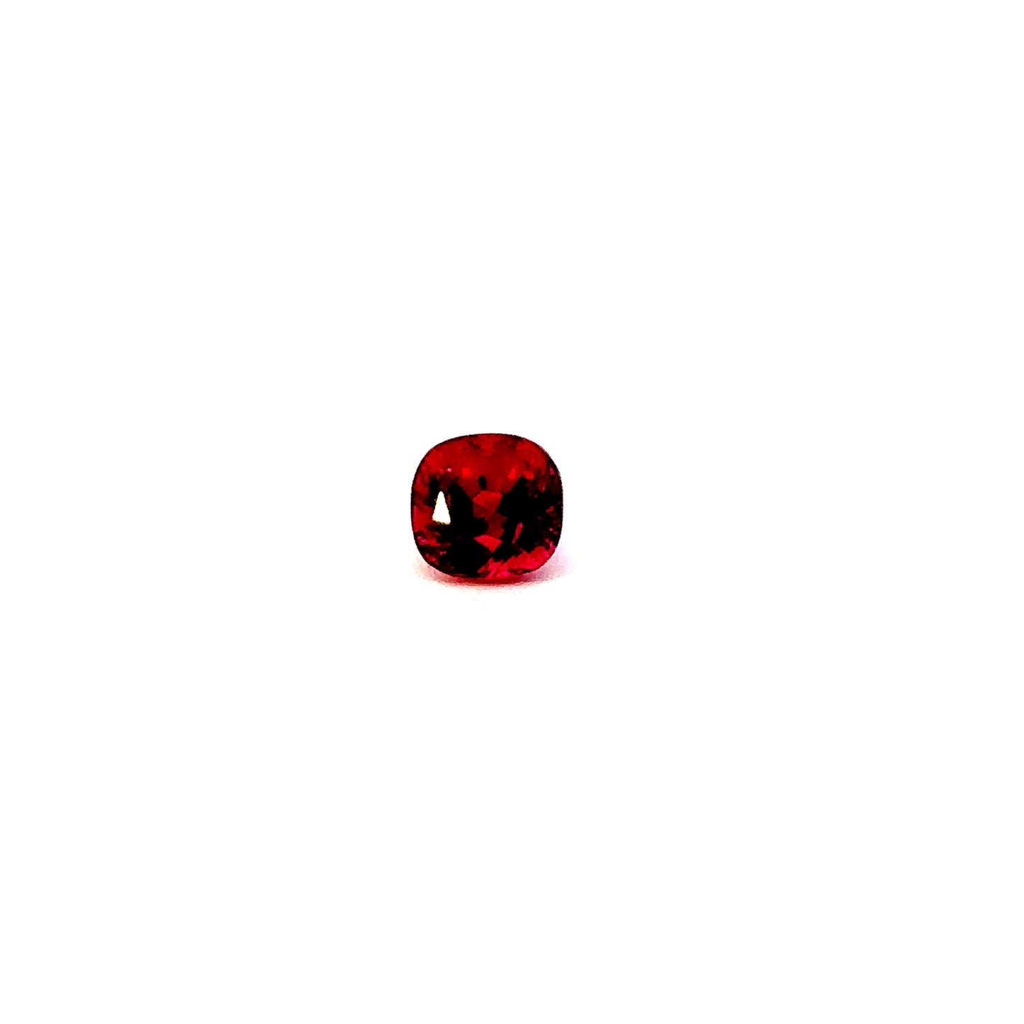 SPINEL000007__2023-06-01-13-54-36-1.jpg