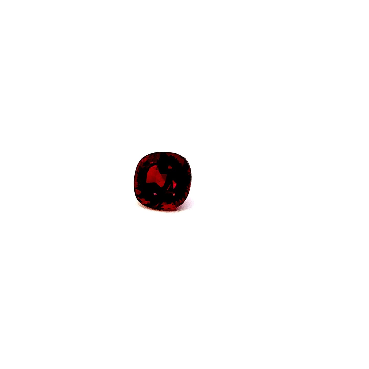 SPINEL000011__2023-06-01-13-55-32-2.jpg
