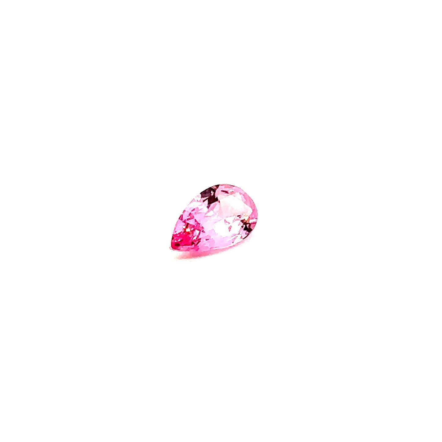 SPINEL000015__2023-06-01-14-03-50-1.jpg