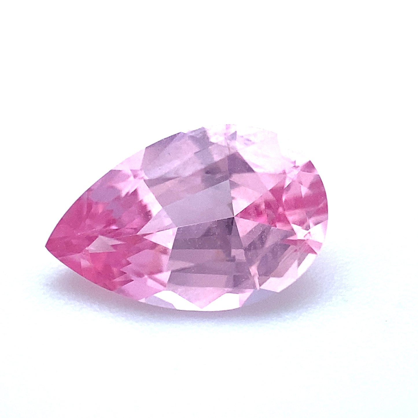 SPINEL000016__2021-05-31-16-01-29.jpg