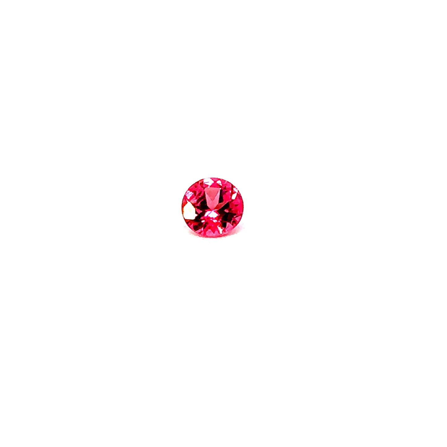 SPINEL000022__2023-06-01-15-33-11-2.jpg