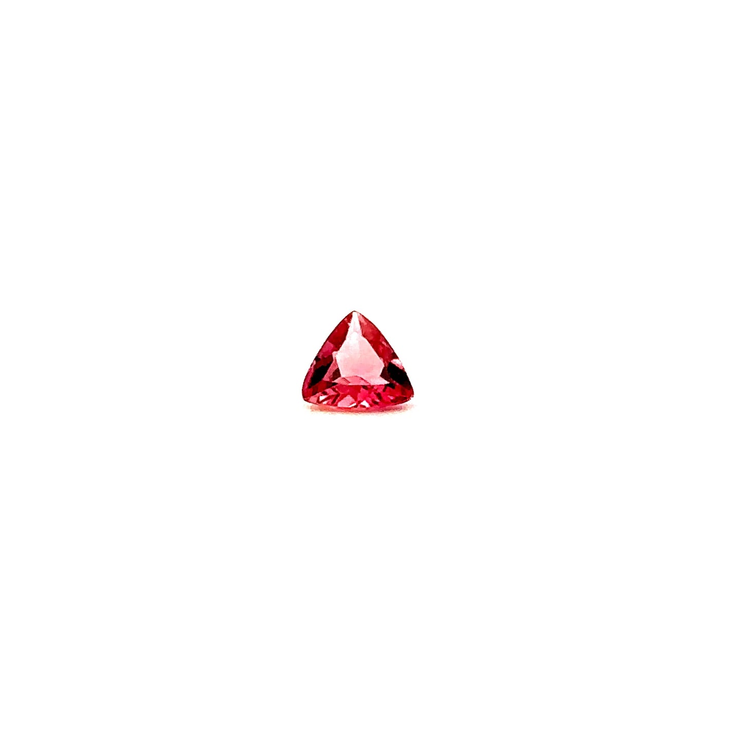 SPINEL000023__2023-06-01-14-02-09-2.jpg