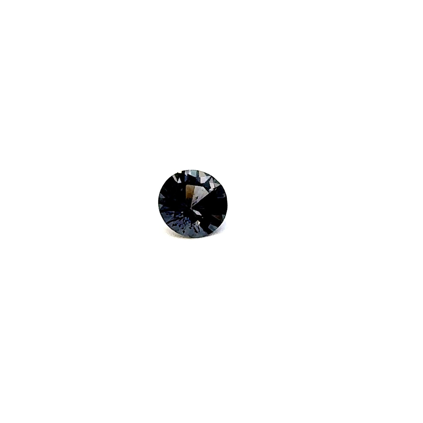 SPINEL000043__2023-06-01-13-36-52-2.jpg
