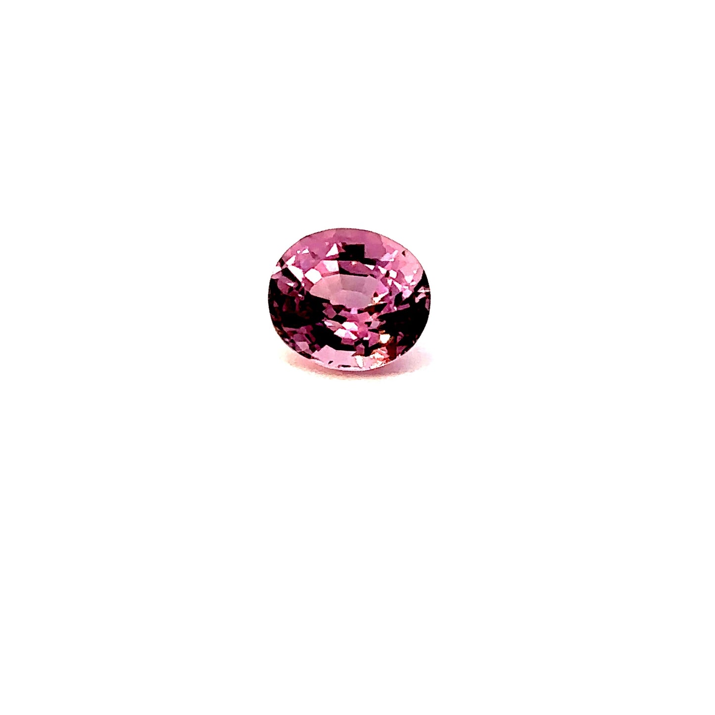 SPINEL000062__2023-06-01-15-32-28-2.jpg