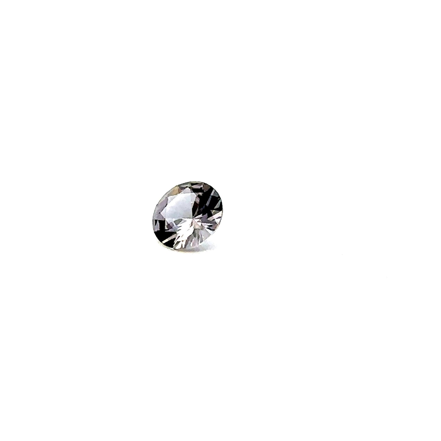 SPINEL000079__2023-06-01-13-38-28.jpg