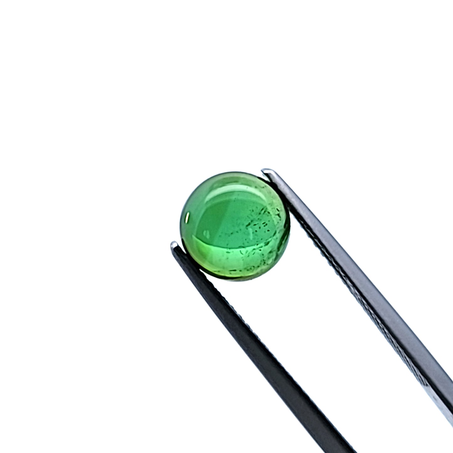 TOURMALINE521__2023-06-29-15-22-51.jpg