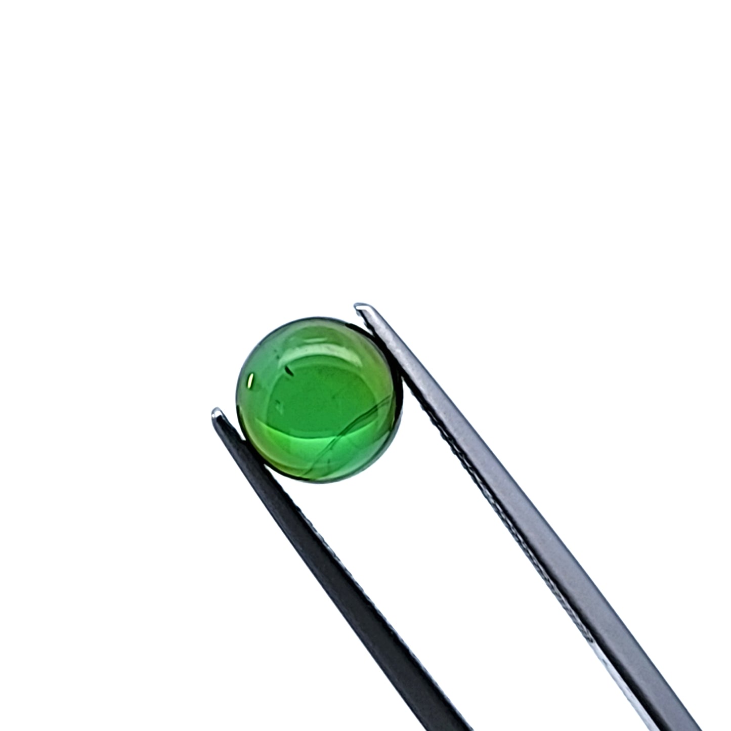 TOURMALINE522__2023-06-29-15-26-05.jpg