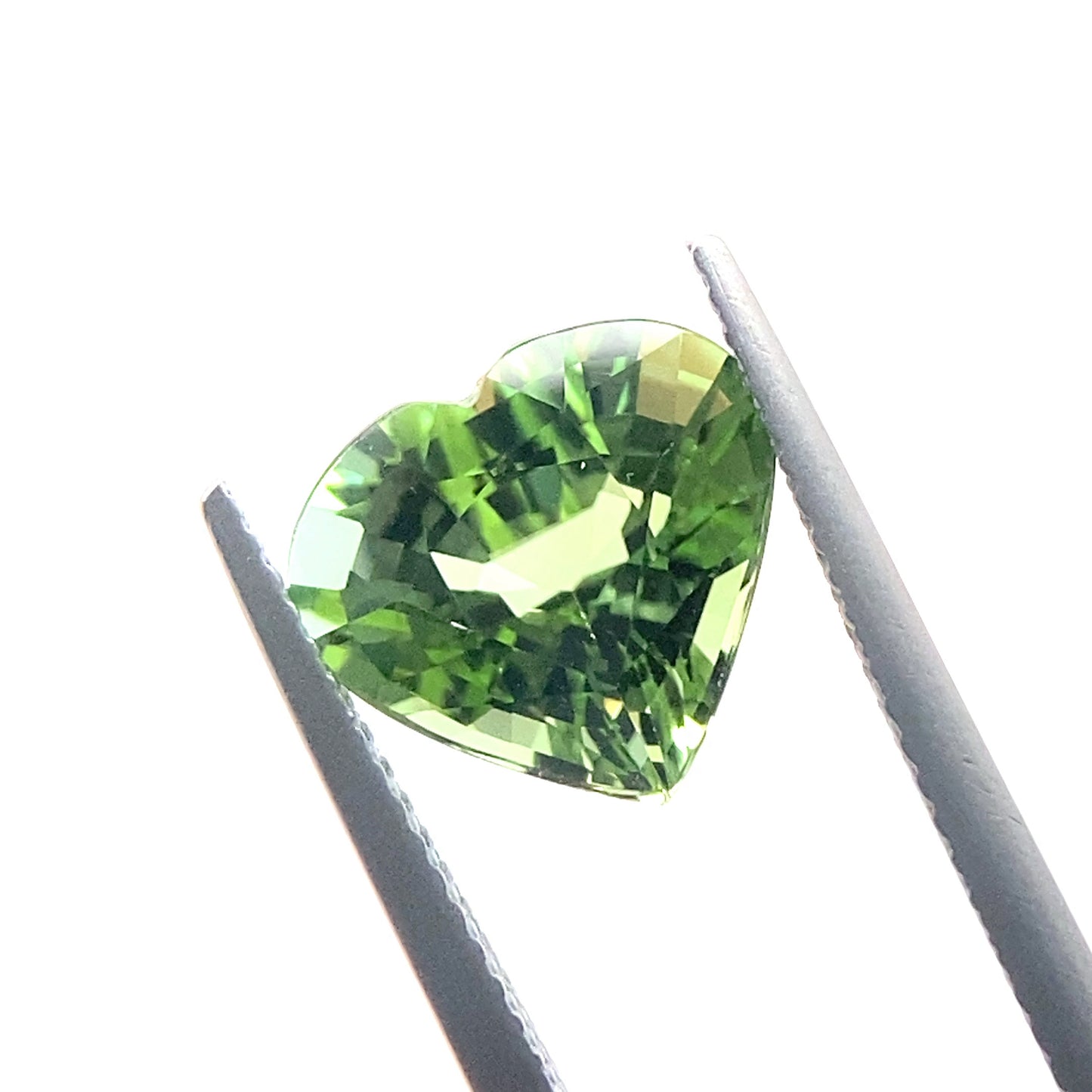 TOURMALINE896__2024-06-10-12-48-01.jpg