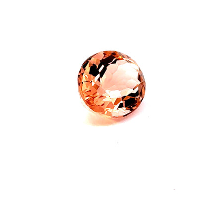 MORGANITE276__2023-05-30-15-50-36-1.jpg