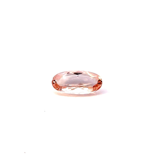 MORGANITE39__2023-05-30-16-11-44-2.jpg