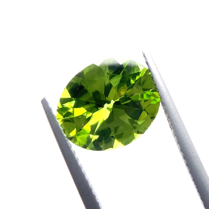 PERIDOT139__2024-06-11-12-12-52.jpg