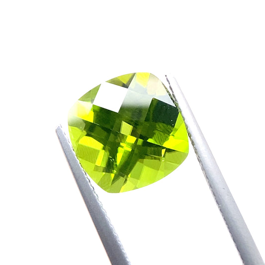 PERIDOT141__2024-06-11-12-28-13.jpg