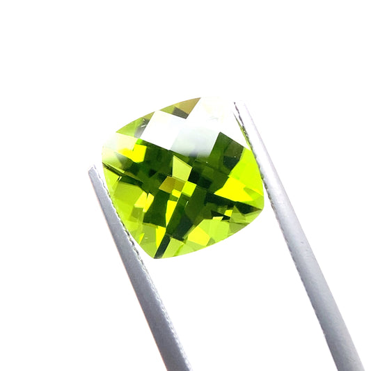 PERIDOT145__2024-06-11-12-40-22.jpg