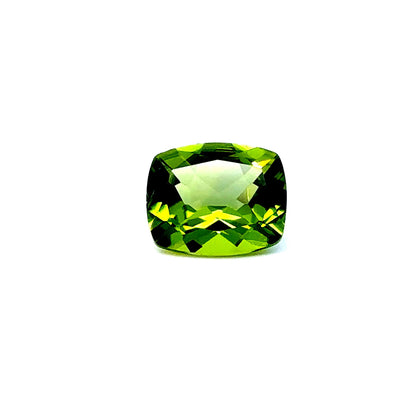 PERIDOT22__2023-06-01-16-07-37-2.jpg