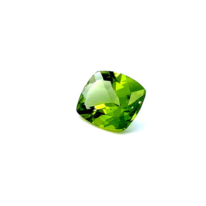 PERIDOT22__2023-06-01-16-07-37.jpg