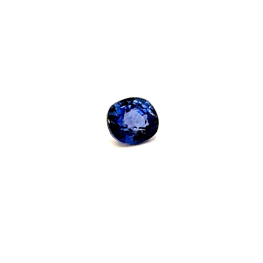 SAP000258__2023-05-25-14-32-17-1.jpg
