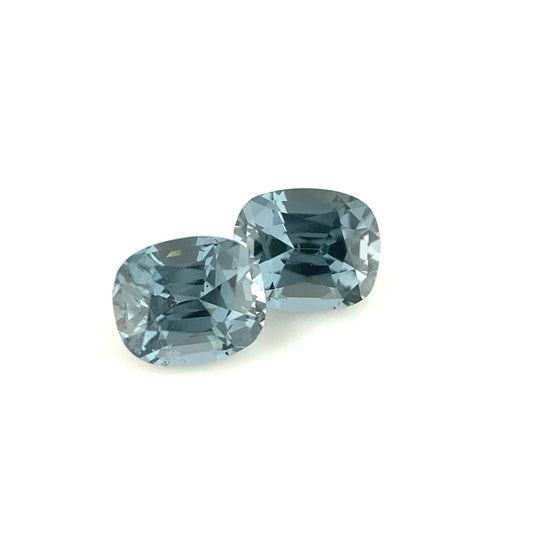 SPINEL000071__2021-05-27-09-46-49.jpg