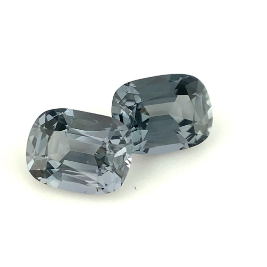 SPINEL000074__2021-05-27-10-04-59.jpg