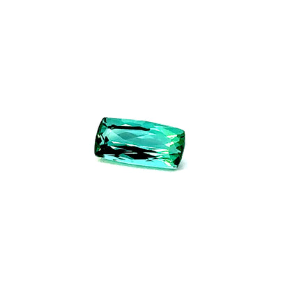 TOURMALINE49__2023-05-28-16-09-43-2.jpg