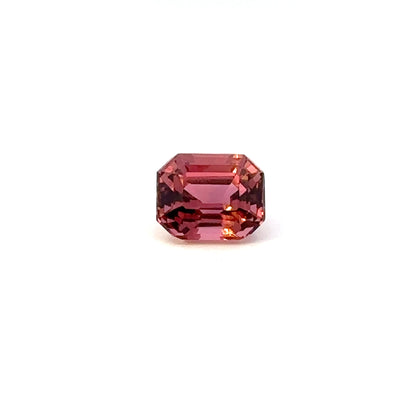 TOURMALINE800__2023-11-22-15-06-41.jpg