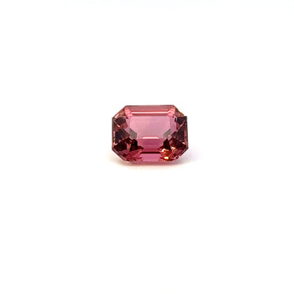 TOURMALINE804__2023-11-22-15-05-54.jpg