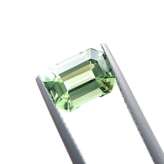 TOURMALINE882__2024-06-03-15-34-41.jpg