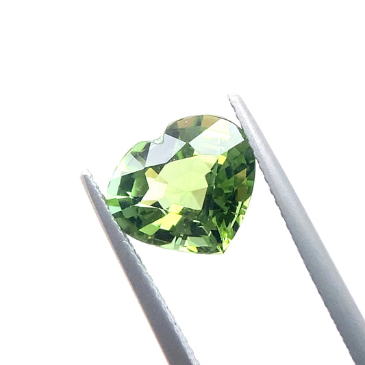 TOURMALINE883__2024-06-03-15-40-52.jpg