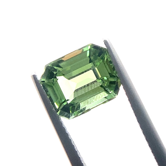 TOURMALINE898__2024-06-10-12-53-27.jpg
