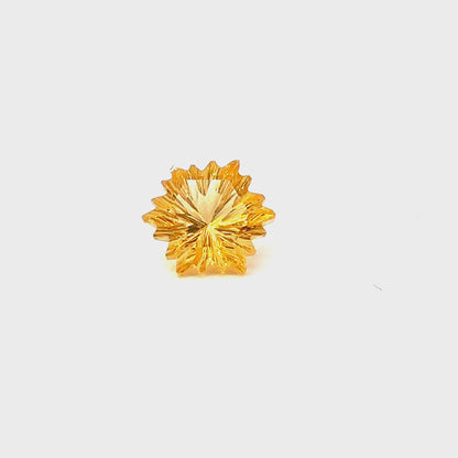 CITRINE101__2024-04-12-13-20-41.mp4