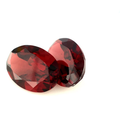 GARNET17__2021-05-13-13-12-33.mp4