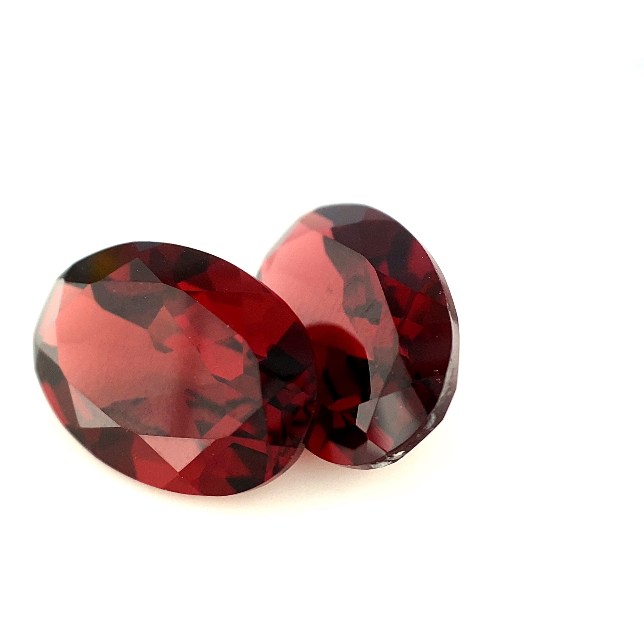 GARNET17__2021-05-13-13-12-33.mp4