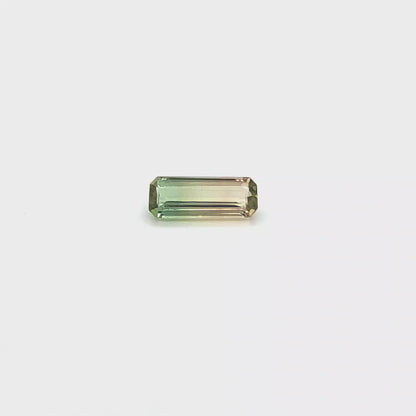 Bi-Colour Tourmaline Octagon 2.874ct