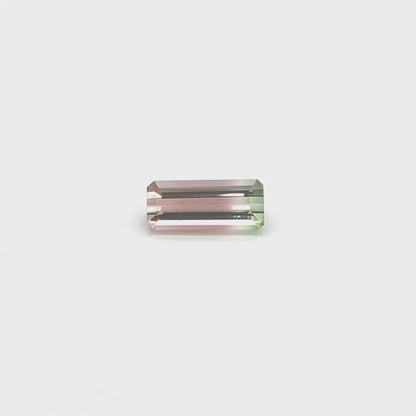 Bi-Colour Tourmaline Octagon 4.647ct