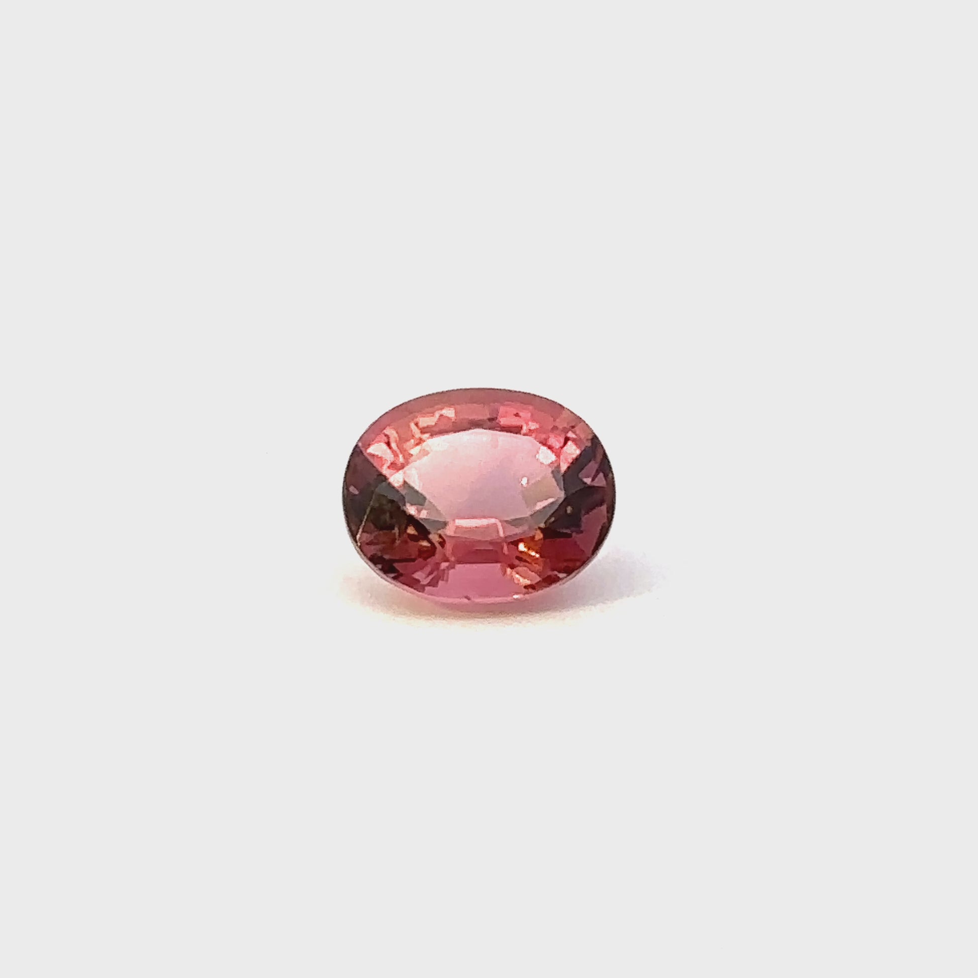 TOURMALINE807__2023-11-22-14-06-11.mp4